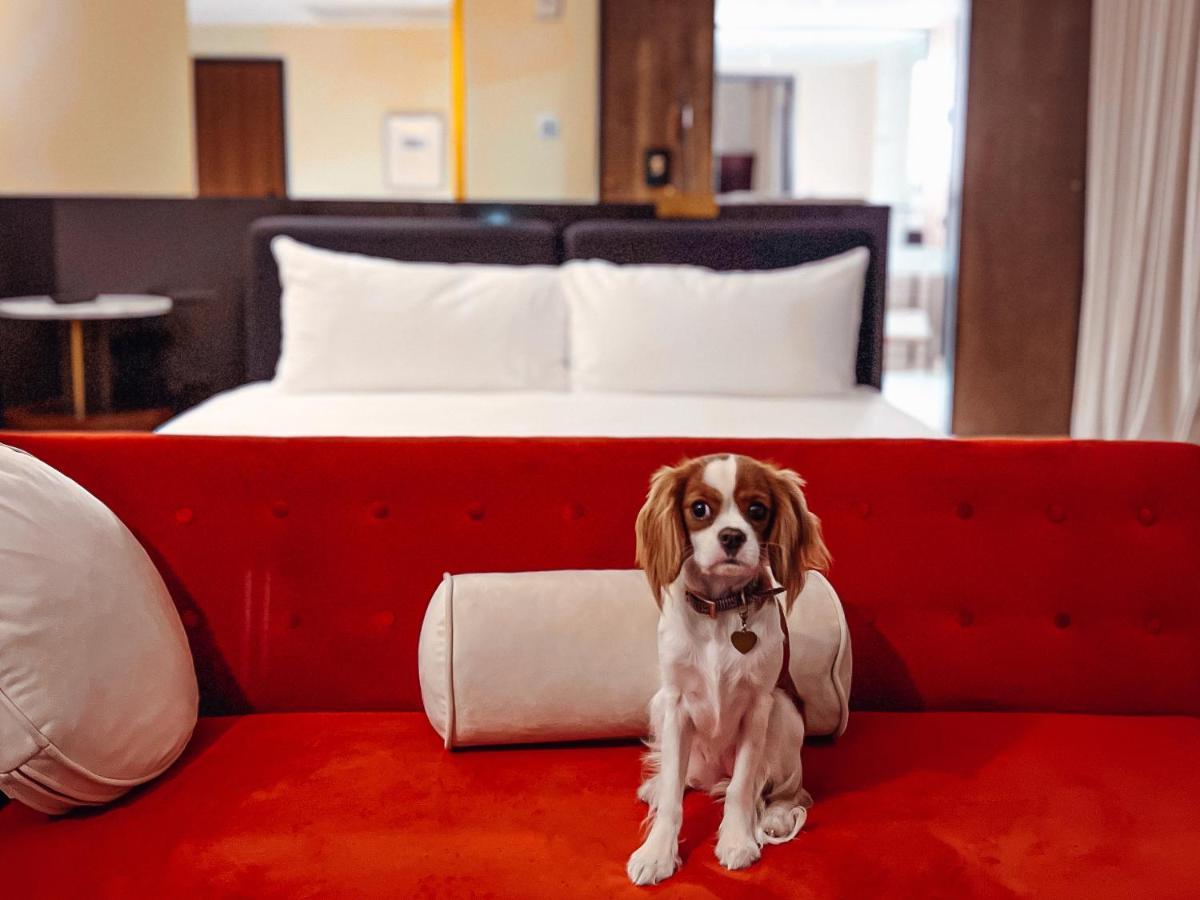 Hotel Haya แทมปา ภายนอก รูปภาพ